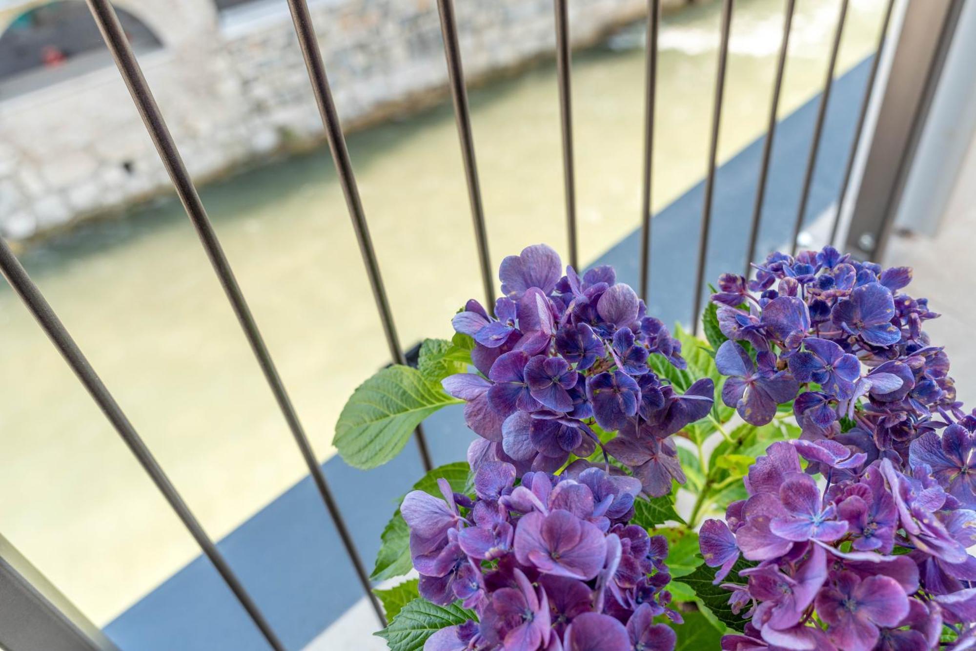 Luxury 2Br W/ River Castle View In Borgo Valsugana Lägenhet Exteriör bild